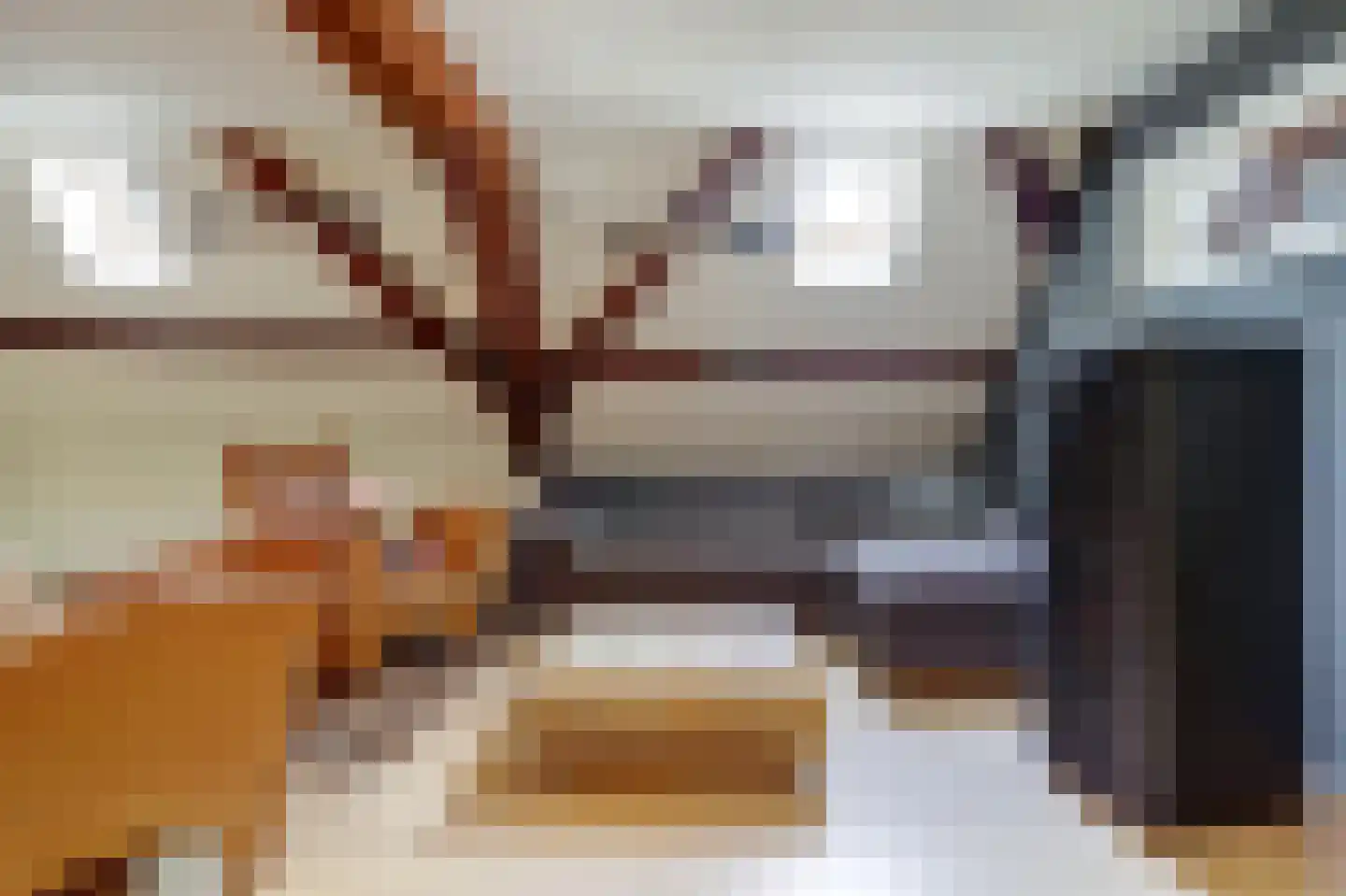 Molenstraat 45 Raamsdonk thumbnail 48