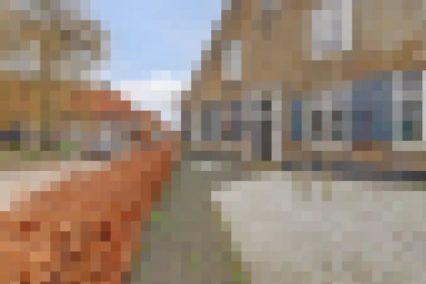 Molenstraat 45 Raamsdonk thumbnail 5