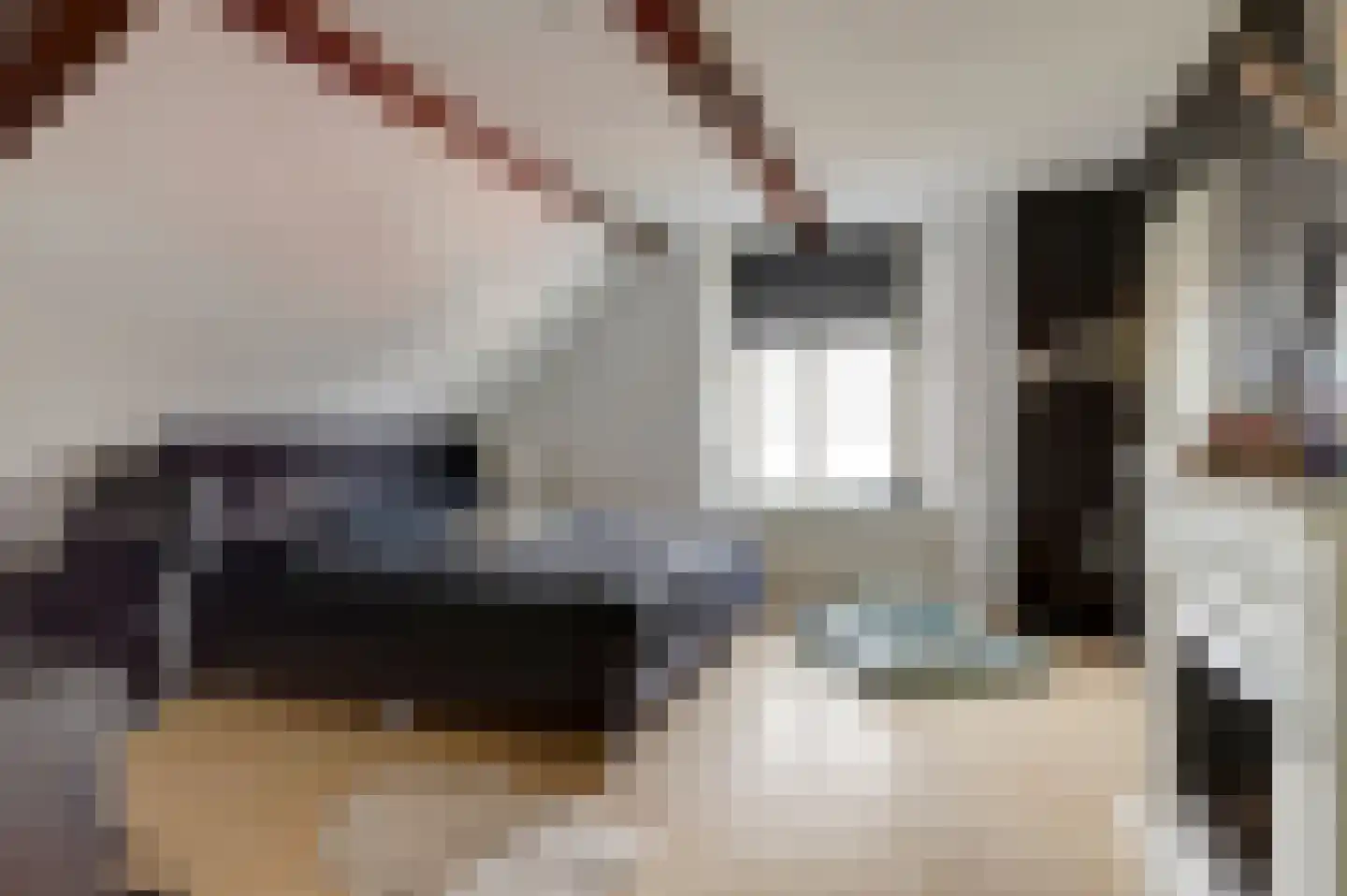 Molenstraat 45 Raamsdonk thumbnail 53