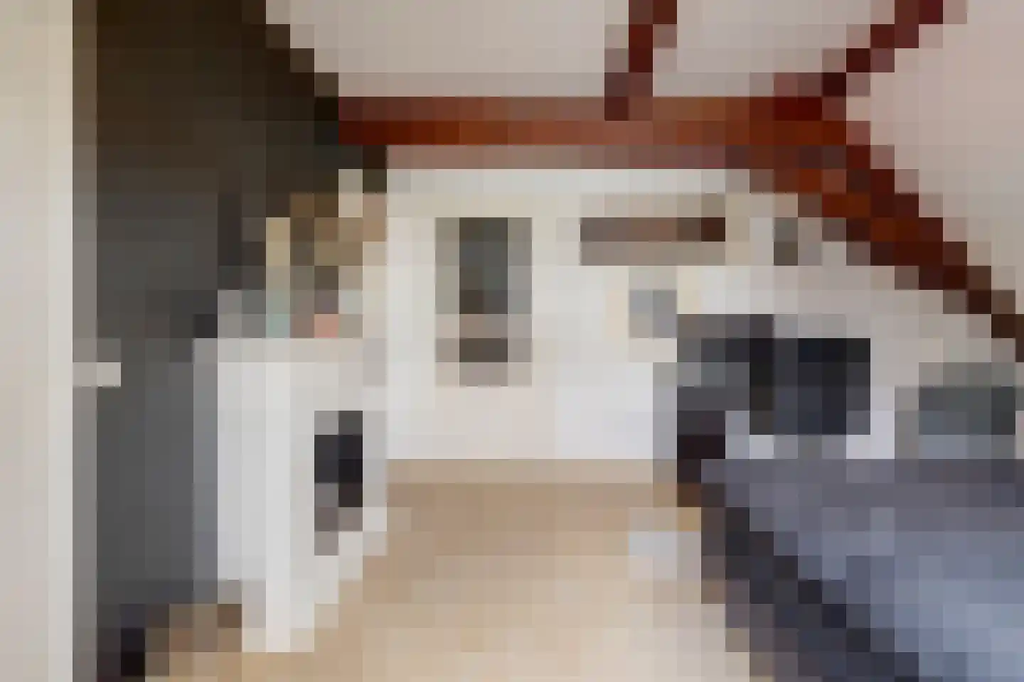 Molenstraat 45 Raamsdonk thumbnail 54