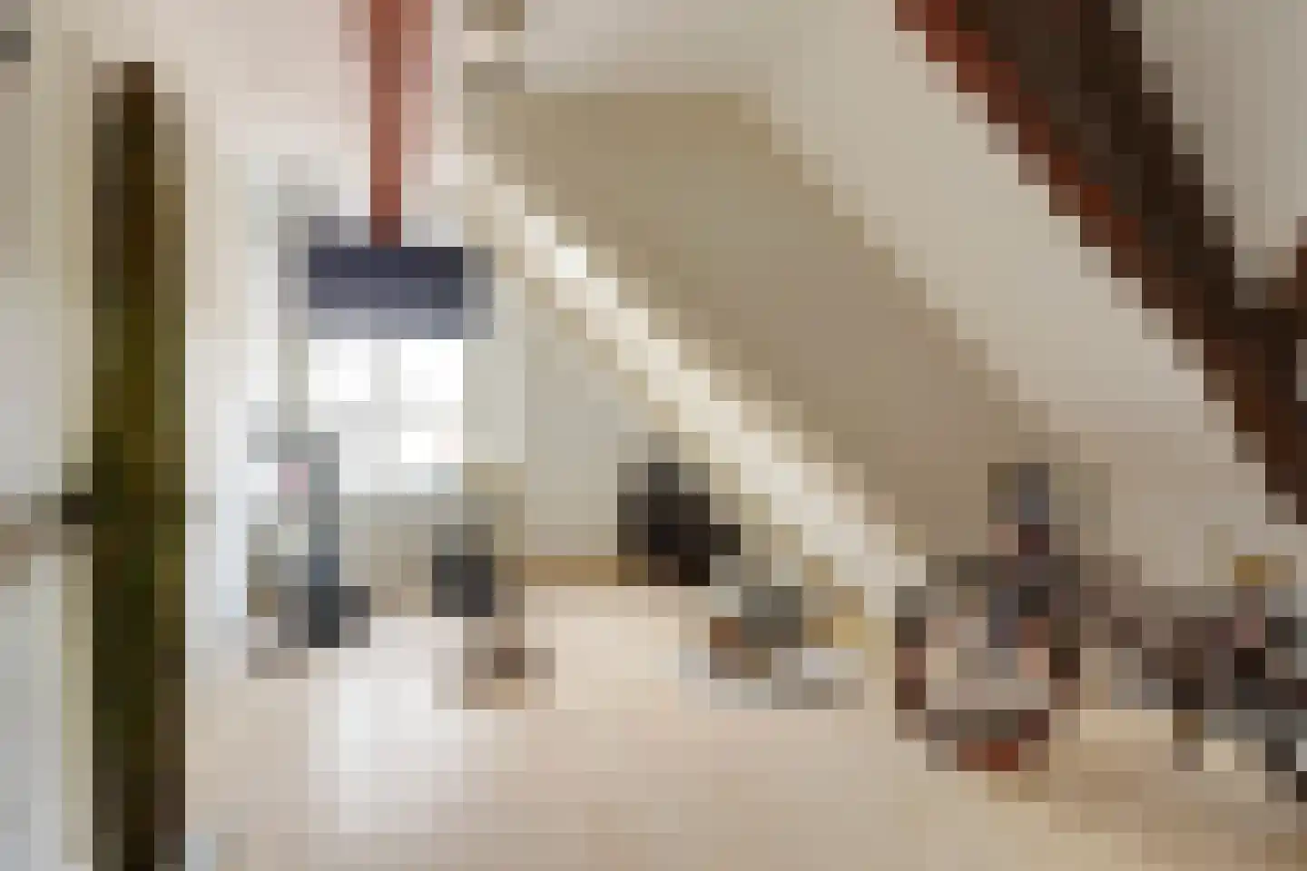 Molenstraat 45 Raamsdonk thumbnail 55