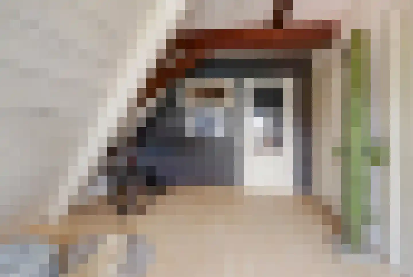 Molenstraat 45 Raamsdonk thumbnail 56
