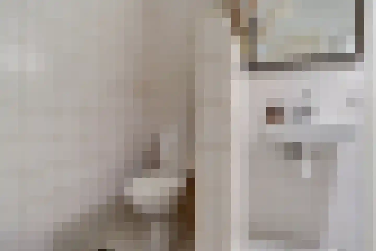 Molenstraat 45 Raamsdonk thumbnail 58