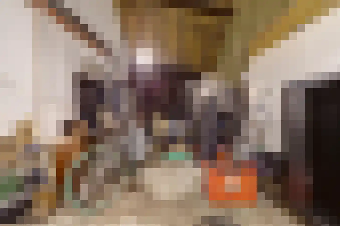 Molenstraat 45 Raamsdonk thumbnail 60