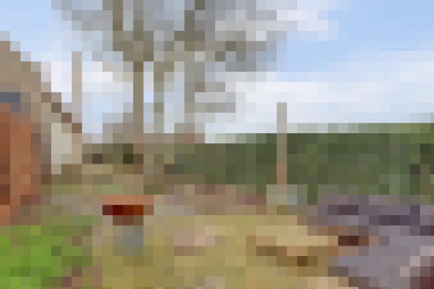 Molenstraat 45 Raamsdonk thumbnail 64
