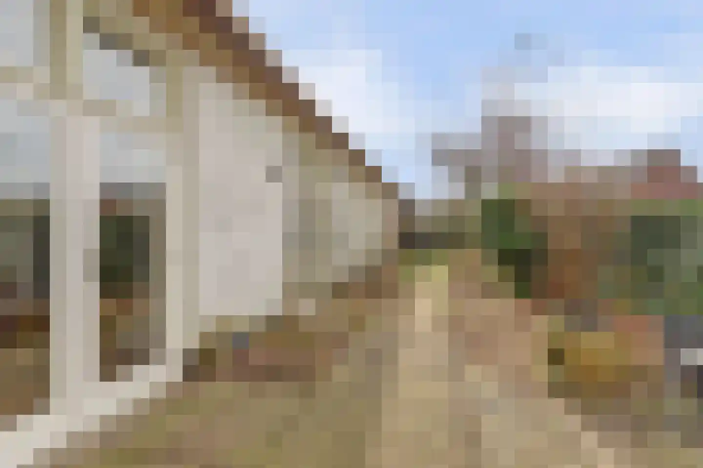 Molenstraat 45 Raamsdonk thumbnail 66