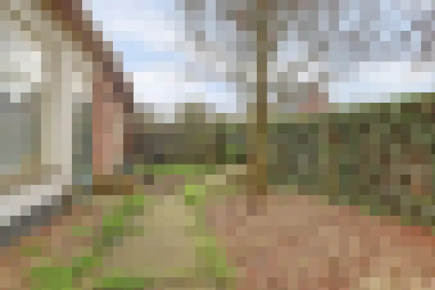 Molenstraat 45 Raamsdonk thumbnail 67