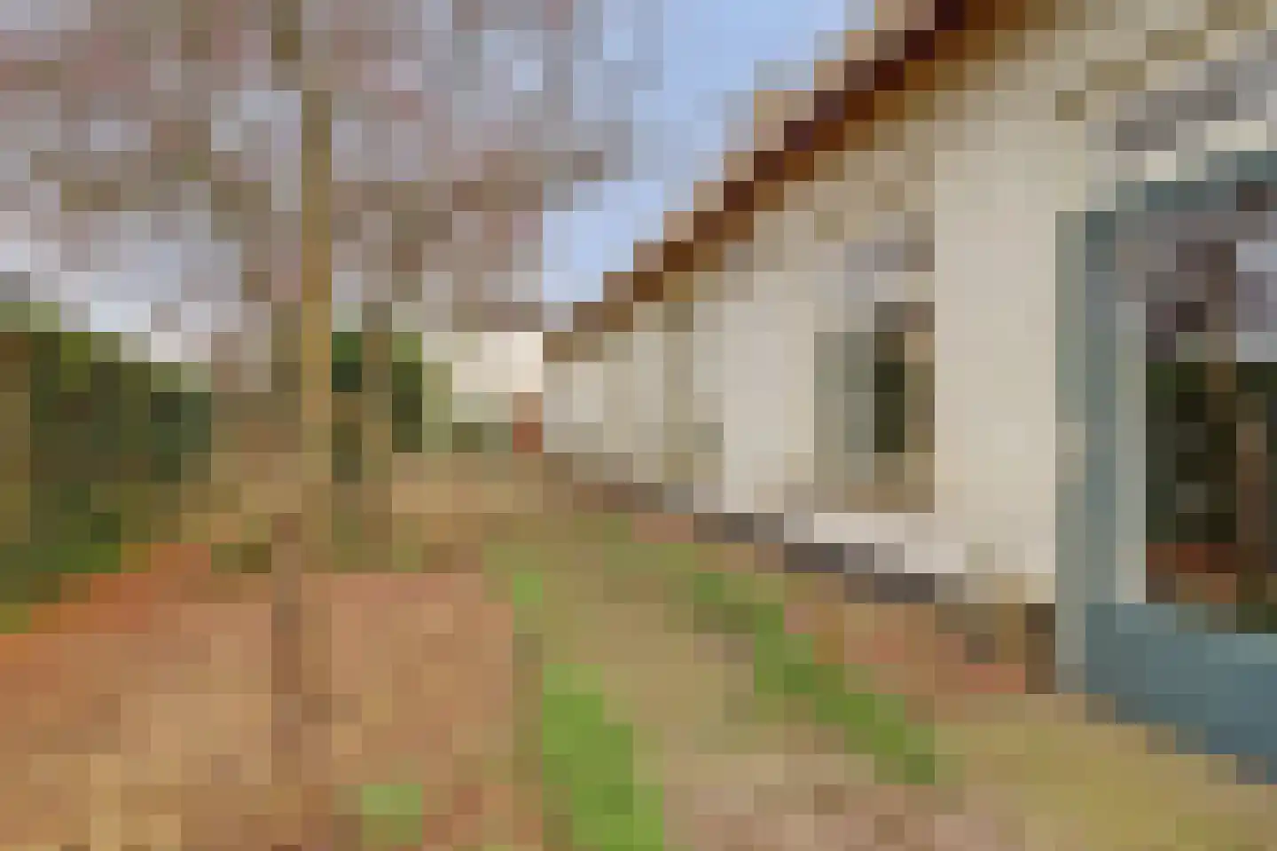 Molenstraat 45 Raamsdonk thumbnail 68
