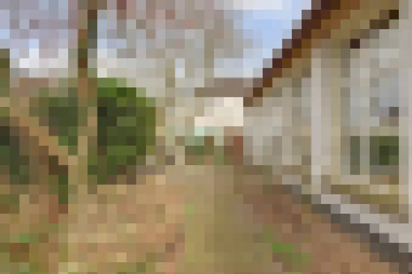 Molenstraat 45 Raamsdonk thumbnail 69