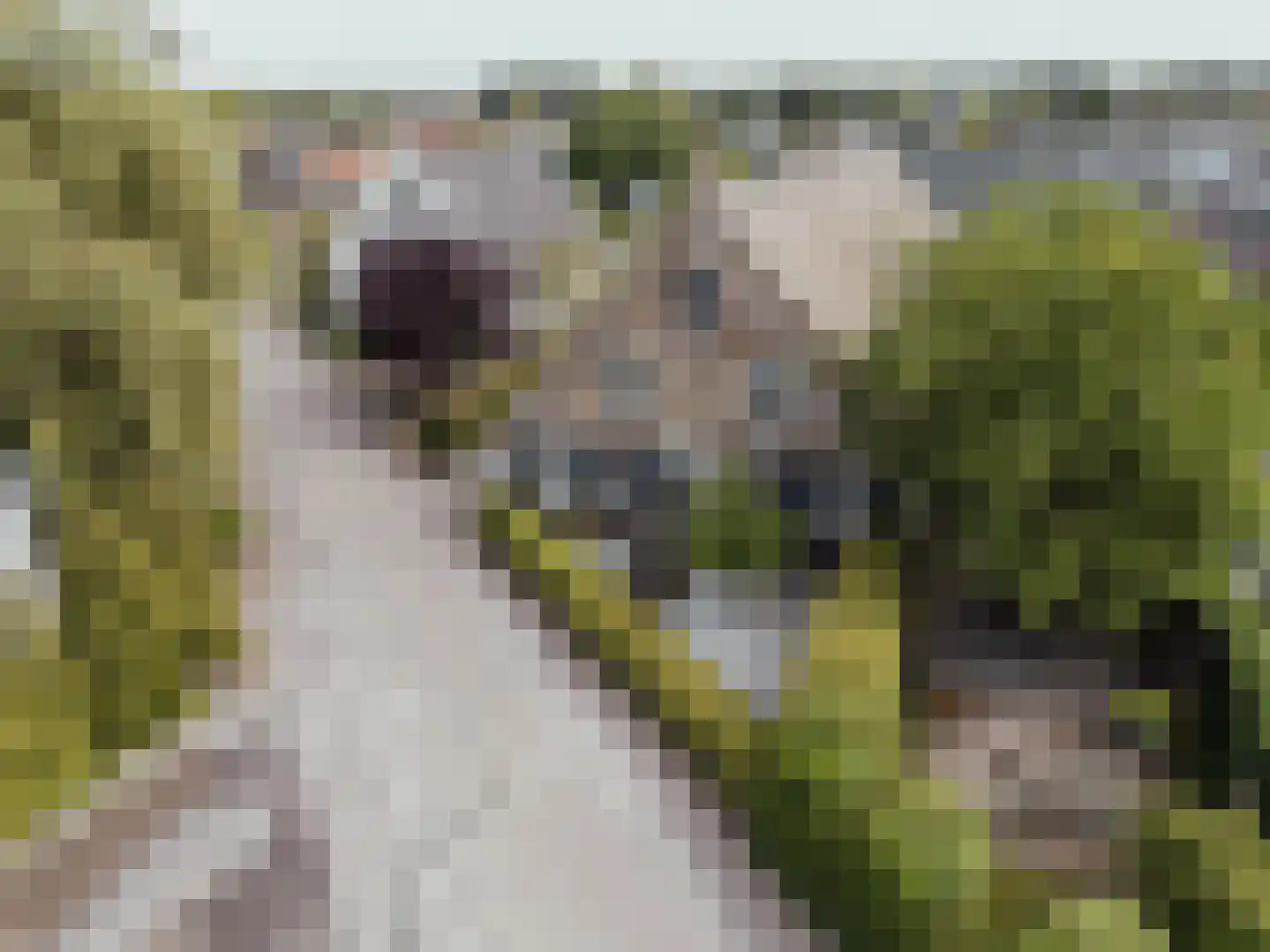 Molenstraat 45 Raamsdonk thumbnail 74