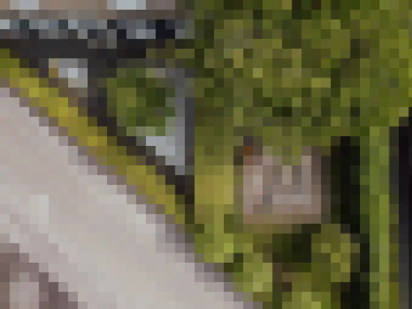 Molenstraat 45 Raamsdonk thumbnail 75