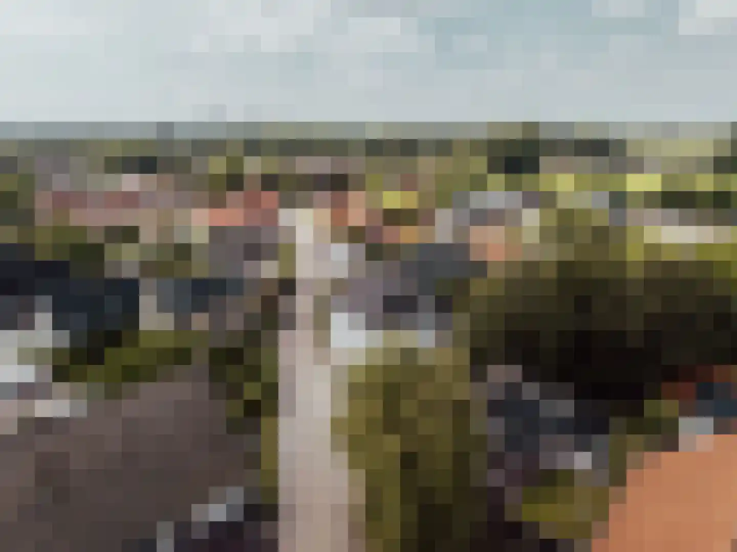 Molenstraat 45 Raamsdonk thumbnail 77