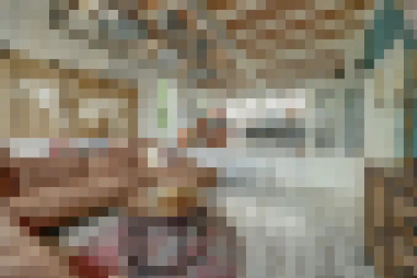 Molenstraat 45 Strijen thumbnail 13