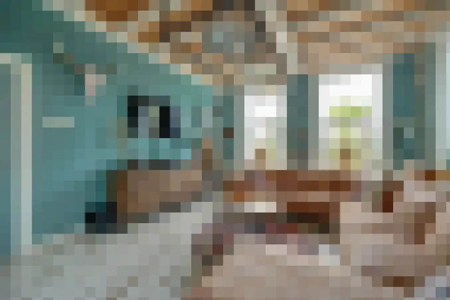 Molenstraat 45 Strijen thumbnail 15