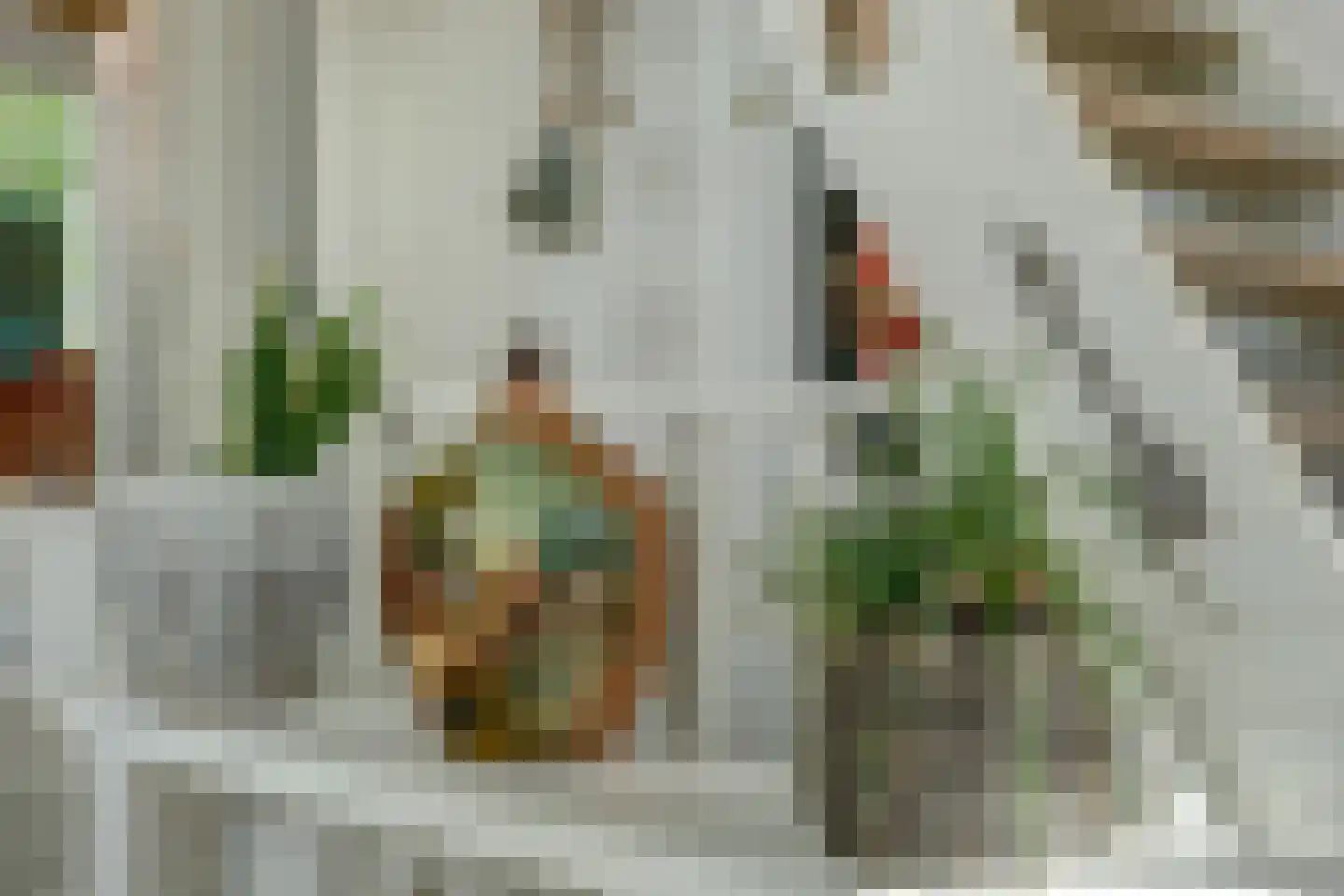 Molenstraat 45 Strijen thumbnail 17