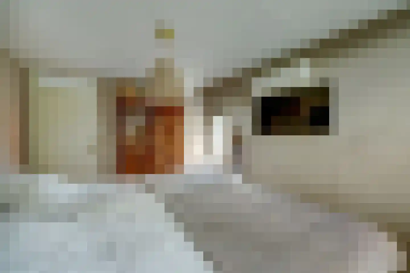 Molenstraat 45 Strijen thumbnail 29