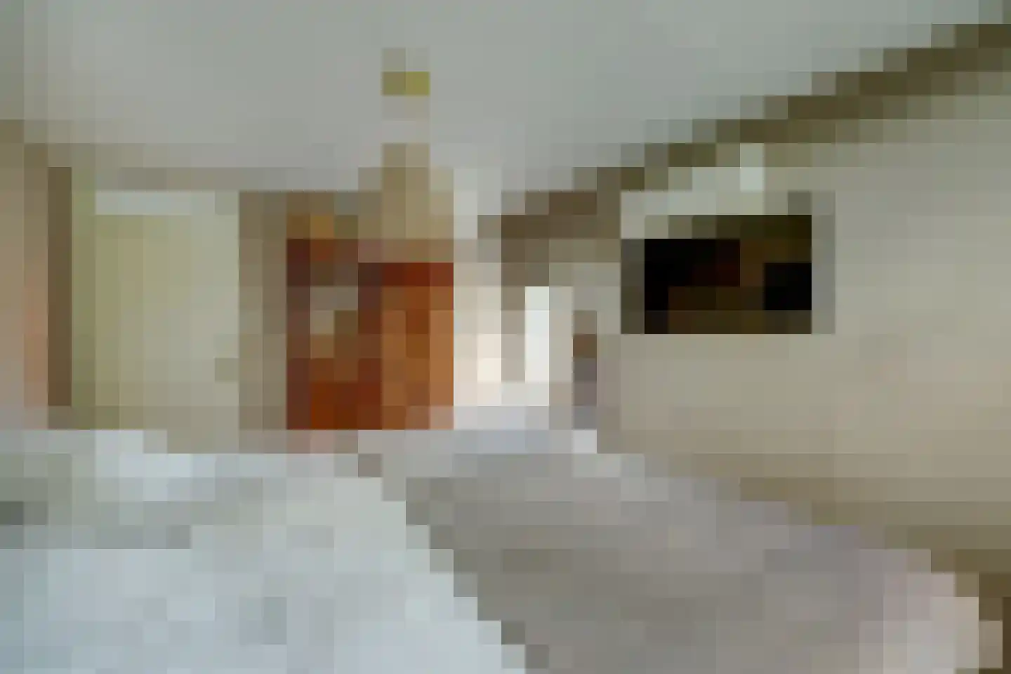 Molenstraat 45 Strijen thumbnail 29