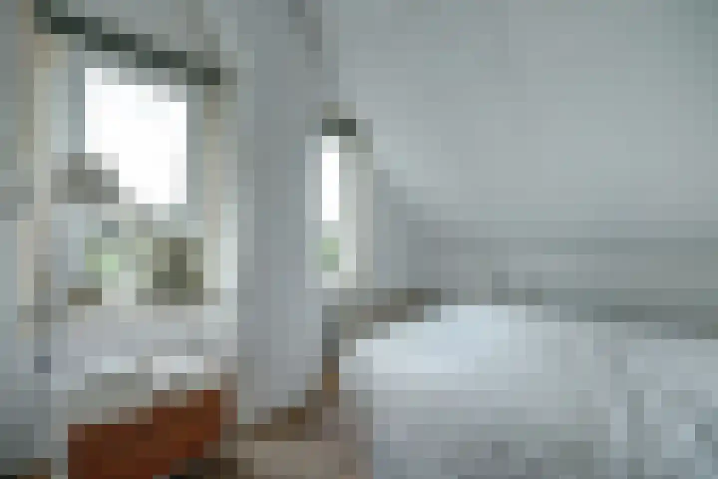 Molenstraat 45 Strijen thumbnail 32