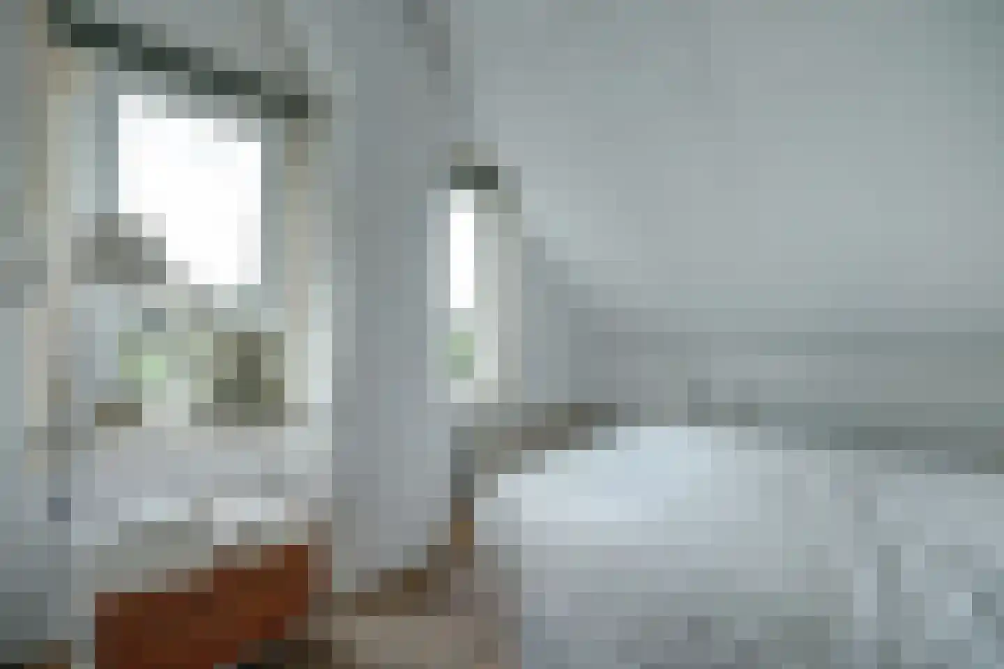 Molenstraat 45 Strijen thumbnail 32