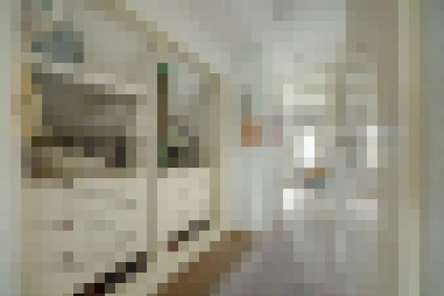 Molenstraat 45 Strijen thumbnail 34