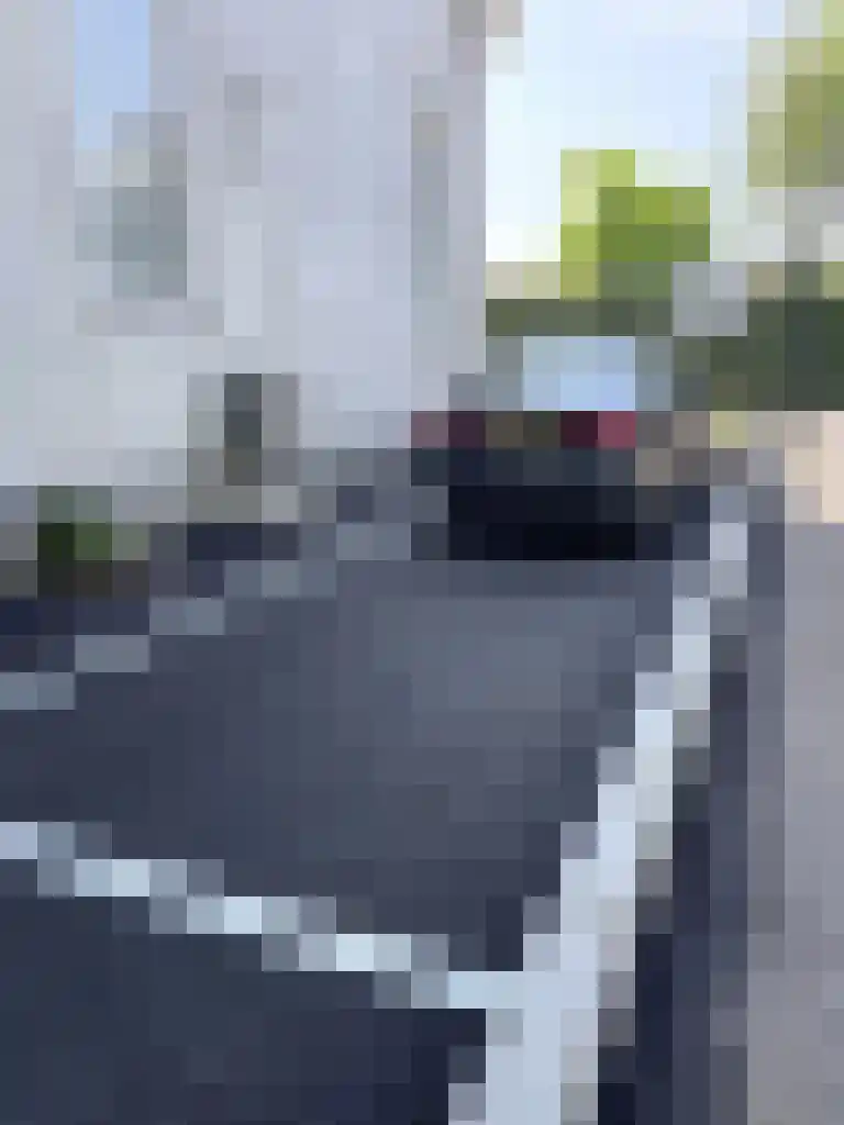 Molenstraat 45 Strijen thumbnail 4