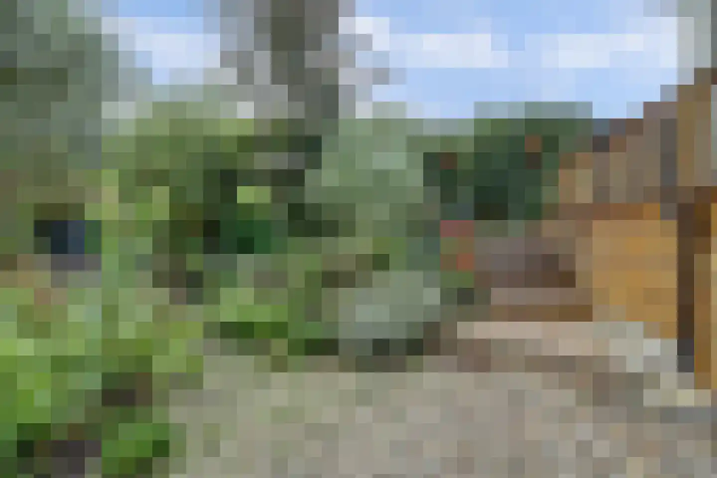 Molenstraat 45 Strijen thumbnail 50