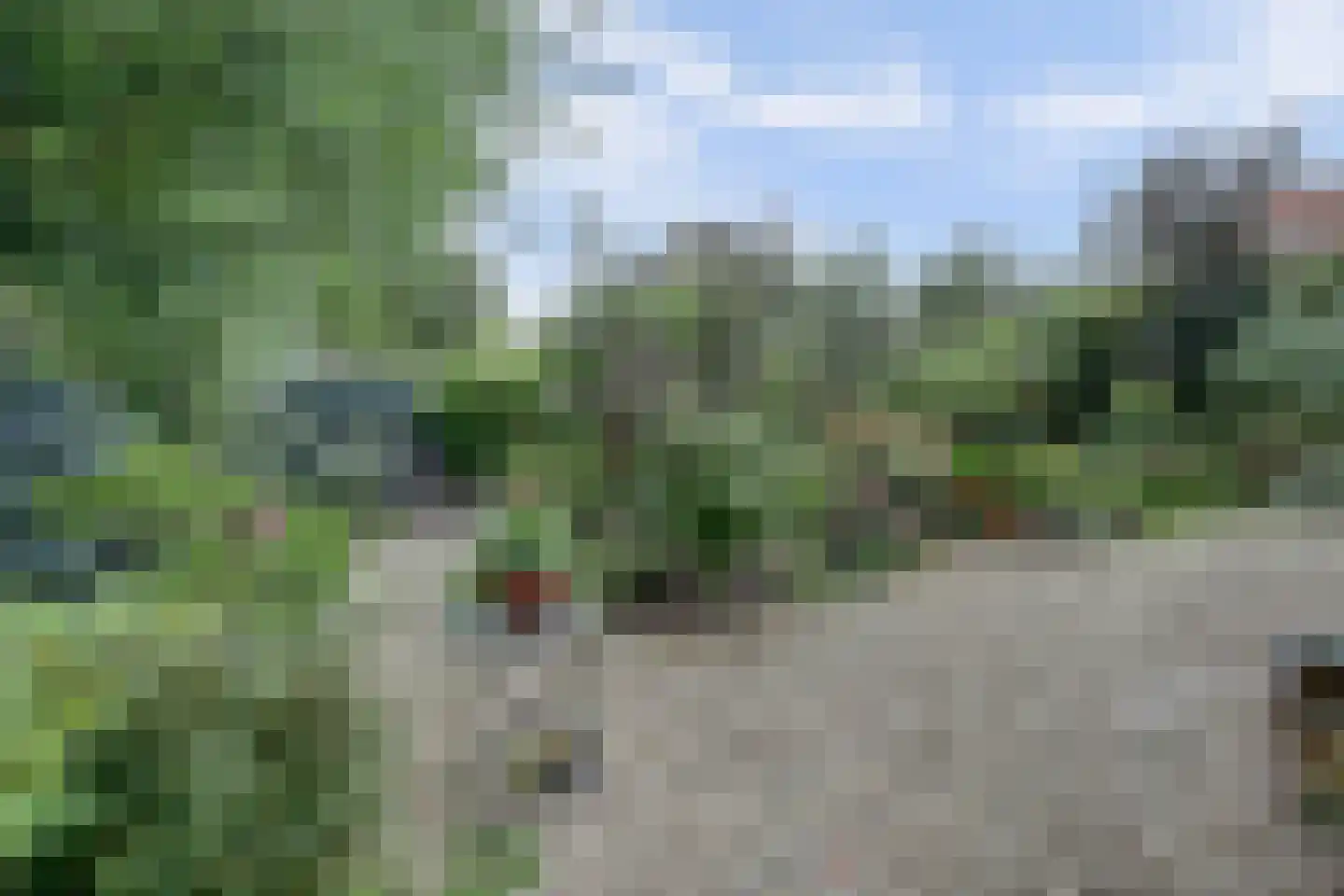 Molenstraat 45 Strijen thumbnail 52