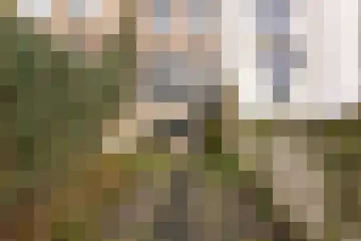 Molenstraat 45 Vlissingen thumbnail 4