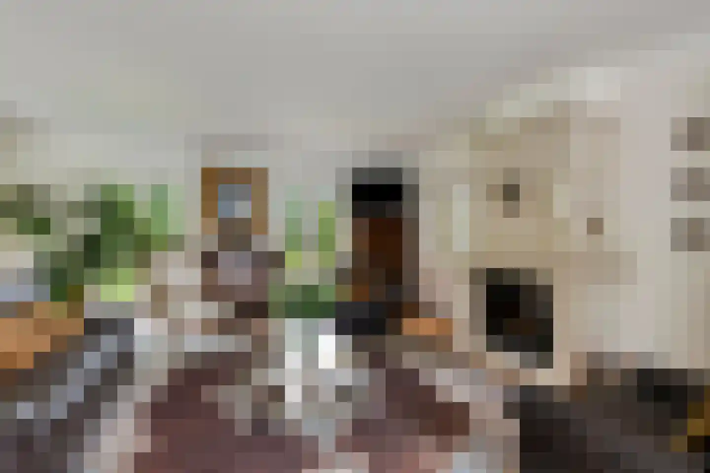 Molenstraat 45 Westdorpe thumbnail 16