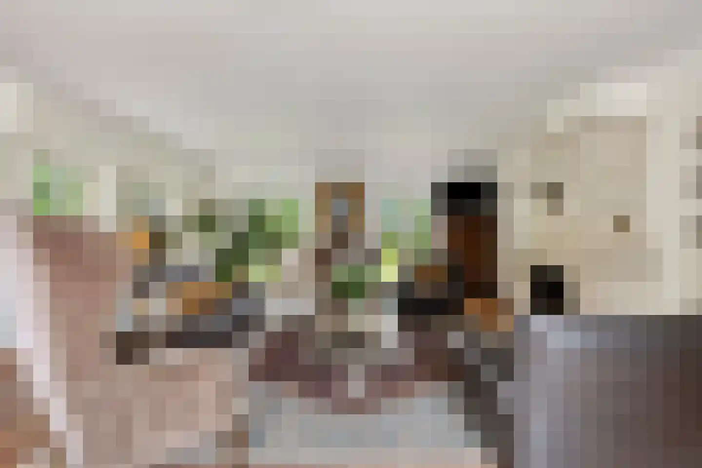 Molenstraat 45 Westdorpe thumbnail 19