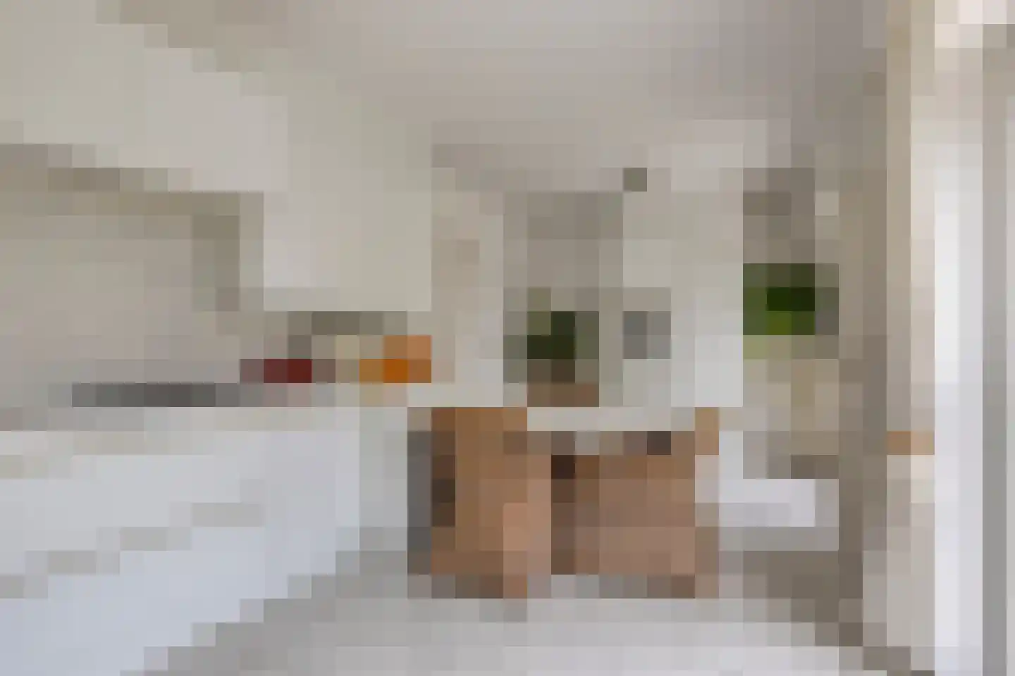 Molenstraat 45 Westdorpe thumbnail 25