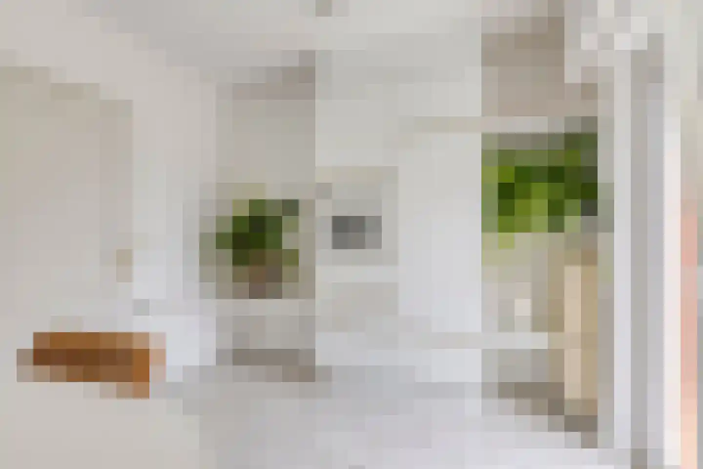 Molenstraat 45 Westdorpe thumbnail 26
