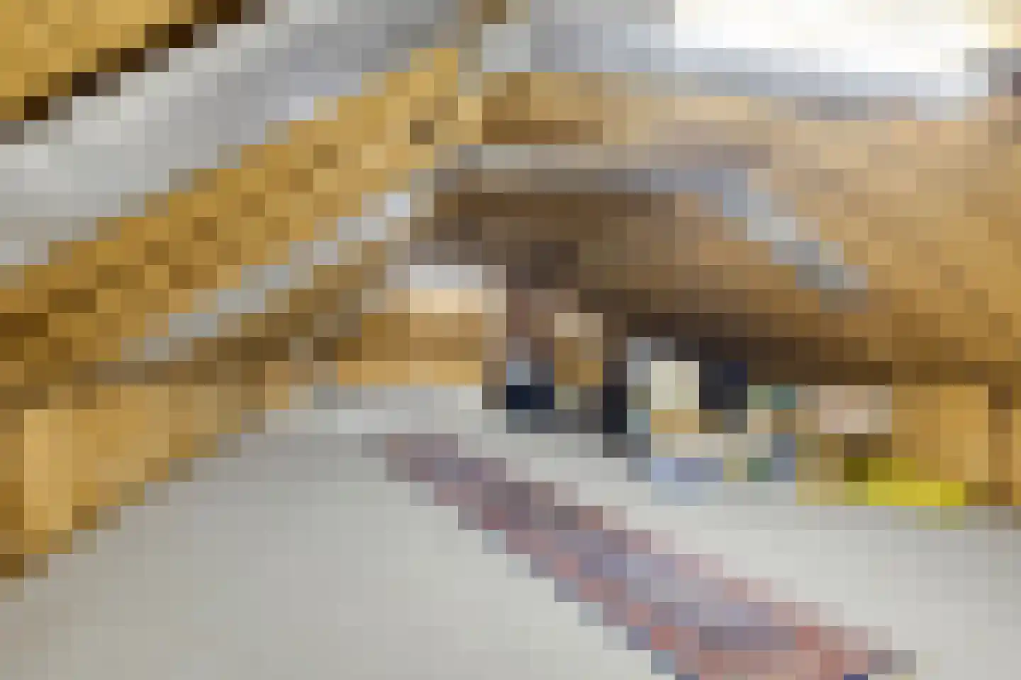 Molenstraat 45 Westdorpe thumbnail 37