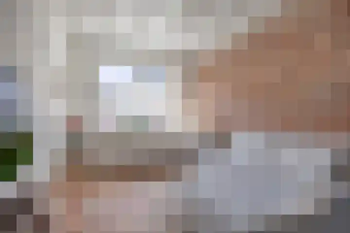 Molenstraat 46 Boxtel thumbnail 10
