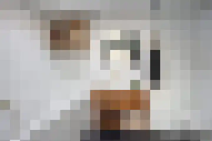 Molenstraat 46 Boxtel thumbnail 4