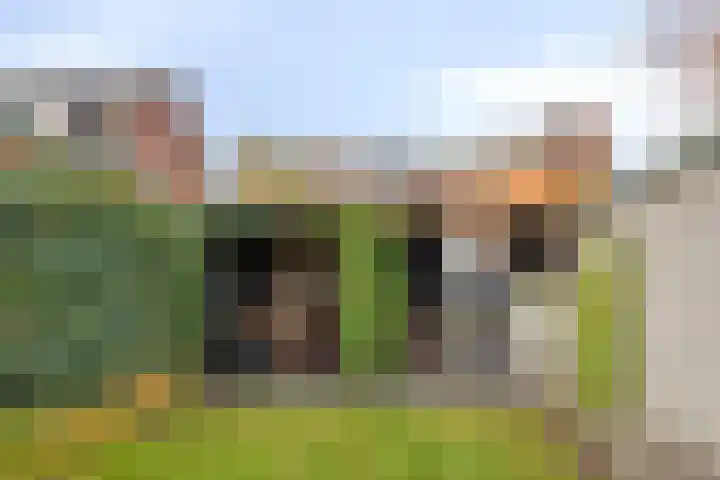 Molenstraat 46 Boxtel thumbnail 41