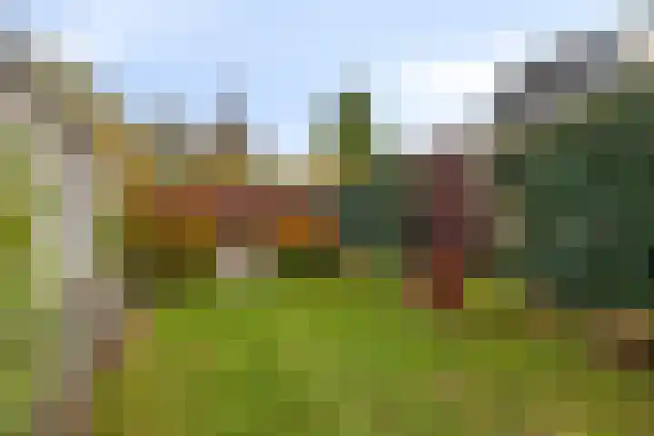Molenstraat 46 Boxtel thumbnail 5
