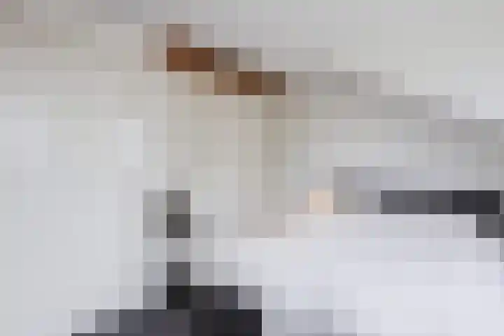 Molenstraat 46 de Wijk thumbnail 22