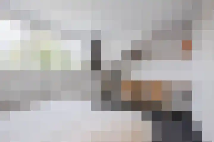 Molenstraat 46 de Wijk thumbnail 23