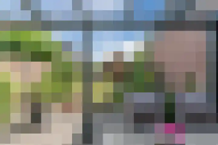 Molenstraat 46 de Wijk thumbnail 35