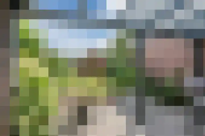 Molenstraat 46 de Wijk thumbnail 36