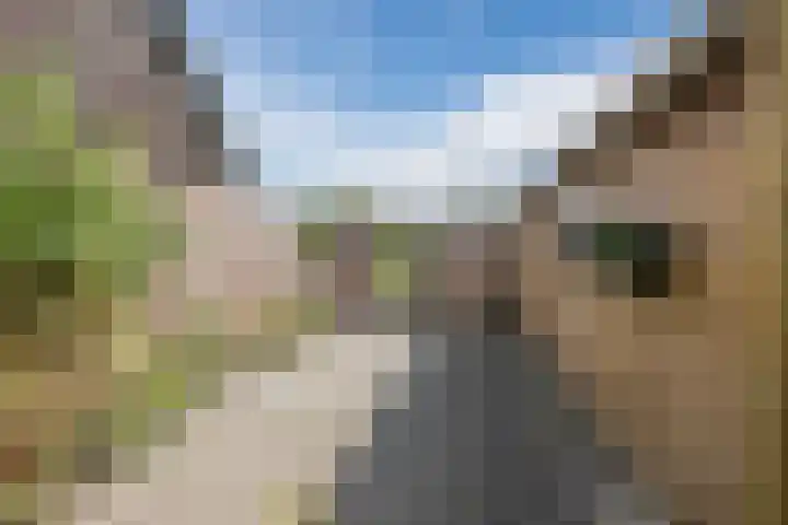 Molenstraat 46 de Wijk thumbnail 41