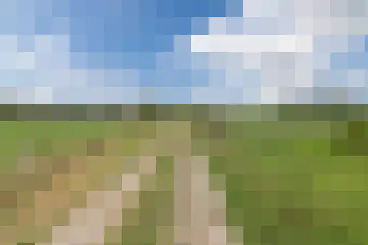 Molenstraat 46 de Wijk thumbnail 45