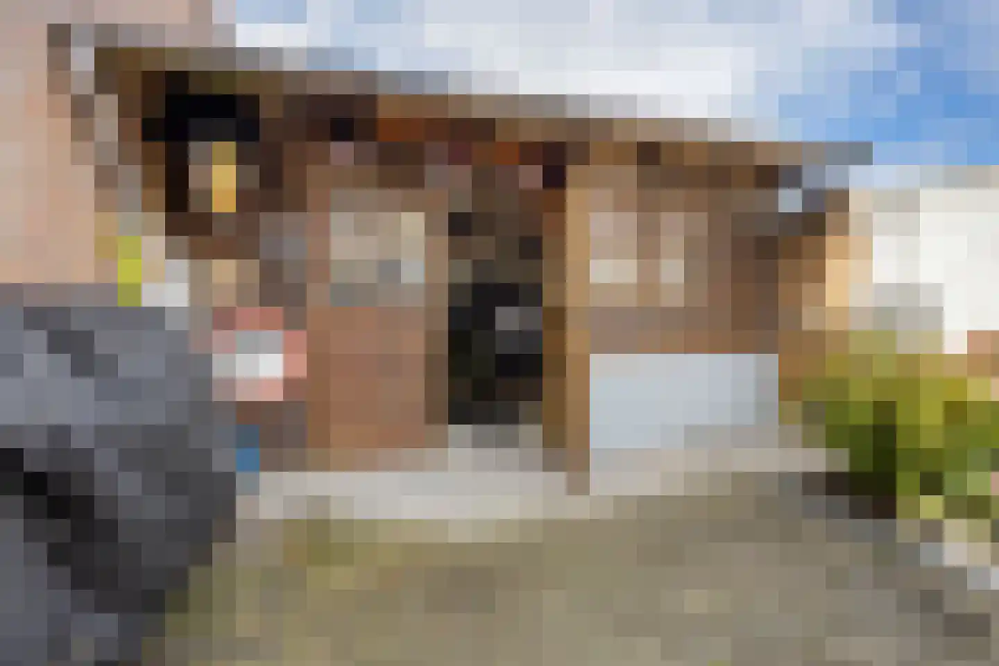 Molenstraat 46 Den Helder thumbnail 4