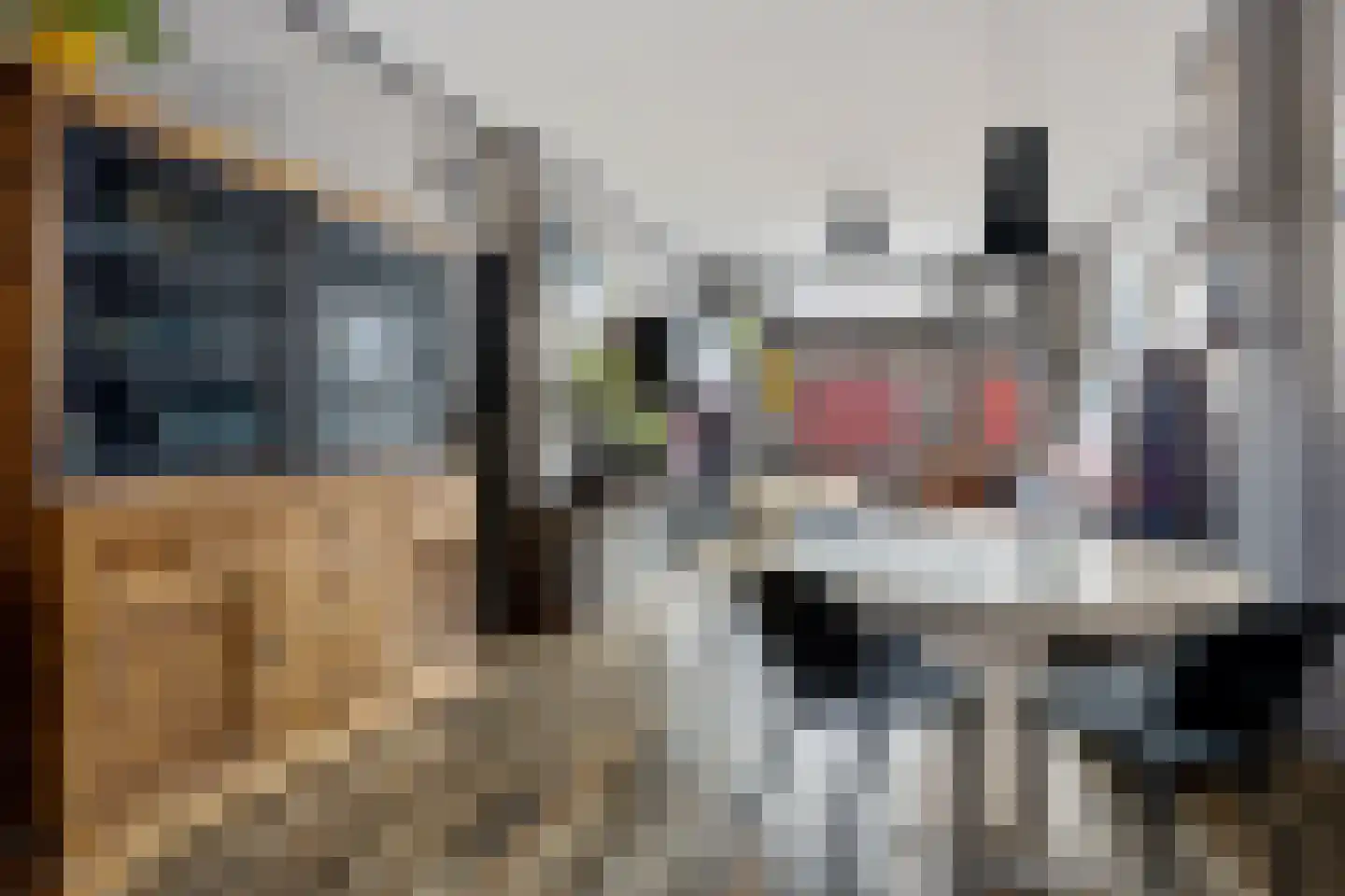 Molenstraat 46 Den Helder thumbnail 8