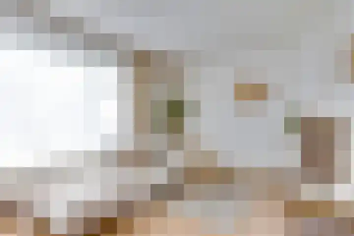 Molenstraat 46 Maarheeze thumbnail 8