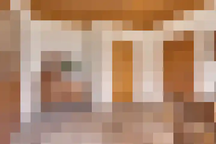 Molenstraat 46 Maasbree thumbnail 11