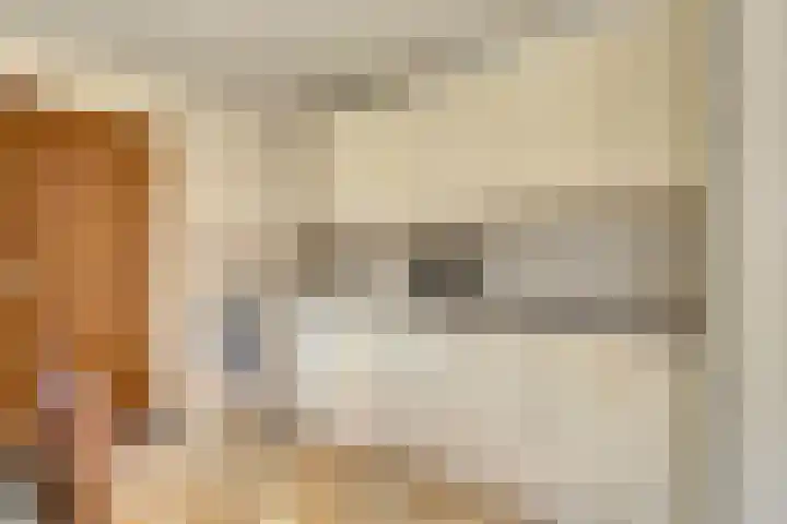 Molenstraat 46 Maasbree thumbnail 14