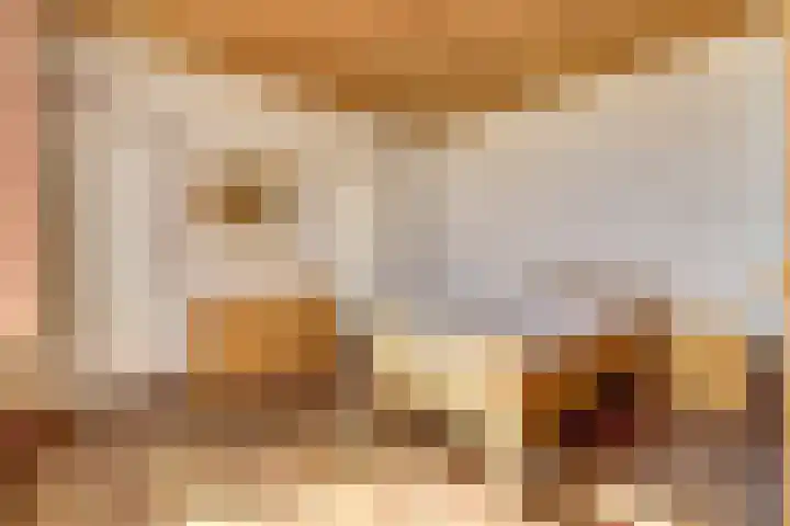 Molenstraat 46 Maasbree thumbnail 15
