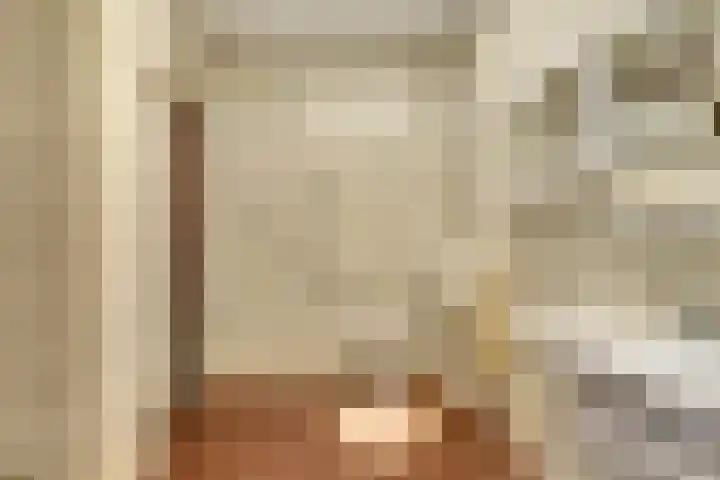 Molenstraat 46 Maasbree thumbnail 18